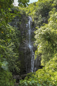 身材高的瀑布向路向哈娜,毛伊岛,美国夏威夷州