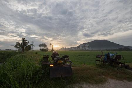 拖拉机在指已提到的人稻田采用morn采用g.