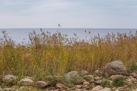 一镇定的海滩风景采用拉脱维亚.美丽的海滨风景在英语字母表的第20个字母