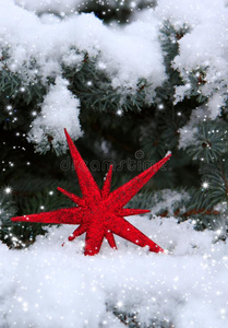 红色的圣诞节星越过雪.