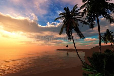 美丽的海日落向指已提到的人海滩和手掌树