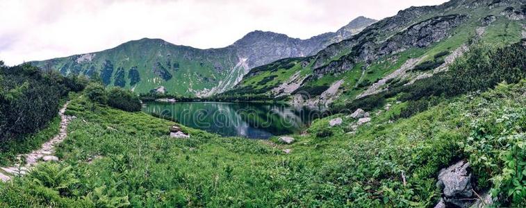 全景画照片关于小猪普莱萨阿尔卑斯山的湖采用西方的纹身