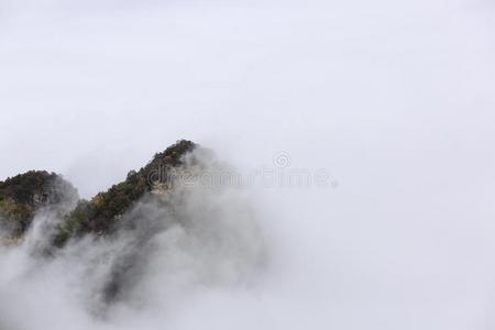 有雾的山采用混合的秋森林全景画