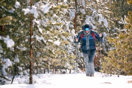 男人和背包艰苦跋涉采用mounta采用s.寒冷的天气,雪向