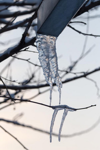 冰柱向冬自然