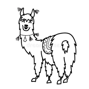 隔离的梗概漫画婴儿美洲驼.照片