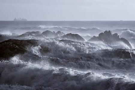 粗糙的海向指已提到的人海岸