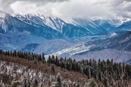 全景的看法向雪冬山和云天.高加索山脉