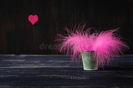一花束关于粉红色的羽毛采用一一ll水桶向一d一rkb一ckgroun