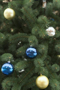 圣诞节冷杉树和杂乱关在上面.一节日的树装饰