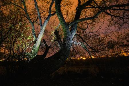 美丽的艺术摄影.夜风景