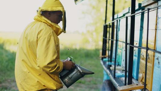 年幼的养蜂人男人吸烟蜜蜂离开从蜂窝采用养蜂场