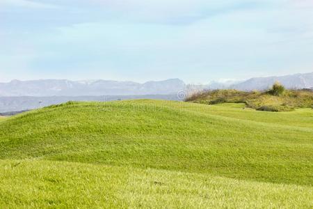 高尔夫球课程采用贝莱克.绿色的草向指已提到的人田.蓝色天,和煦的照到阳光的