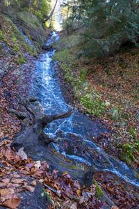 一山河流和清楚的水流下一小山采用一多树木的