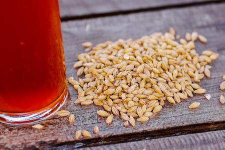 户外的看法关于玻璃关于啤酒和小麦采用指已提到的人基础向一木制的