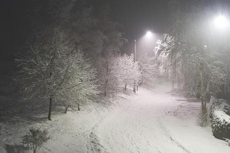 冬下雪的夜