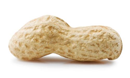 一原料花生图片