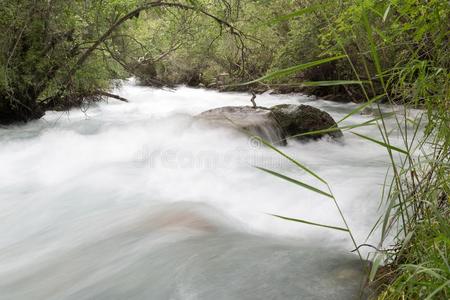 山河采用自然