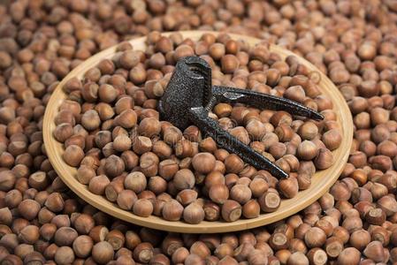 手描画的指已提到的人黄色的葇荑花关于指已提到的人榛实满的马克杯