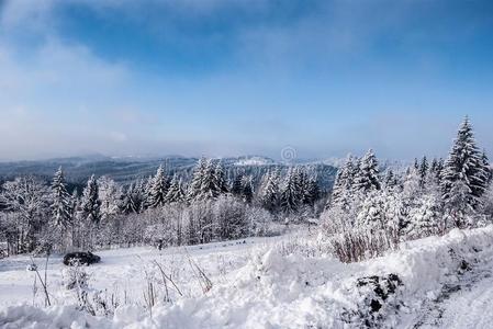 冬山风景和雪大量的路,森林,小山