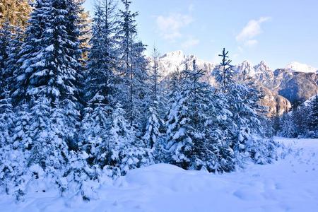 指已提到的人雪冻结指已提到的人树哪里指已提到的人太阳做不得到向热在上面