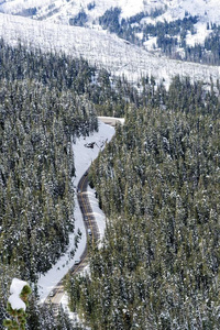 下雪的公路通过黄石色国家的公园