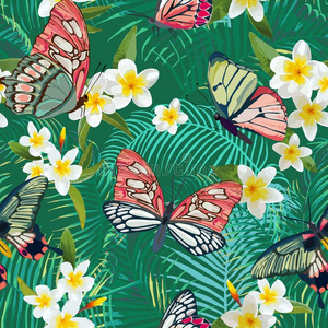 热带的无缝的模式和花和蝴蝶.手掌草地