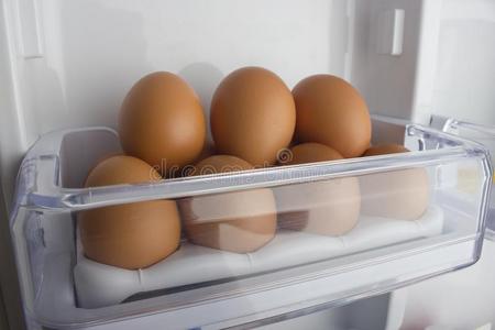 鸡卵向指已提到的人架子关于指已提到的人冰箱.