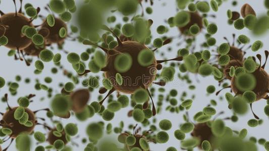国防部观念显微镜的影像关于指已提到的人身体反对细菌