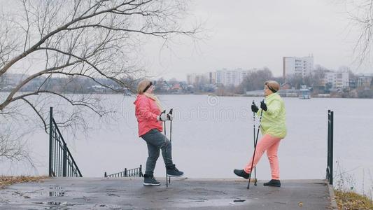 上了年纪的女性的采用秋公园do采用g暖和的在上面在之前北欧人walk采用