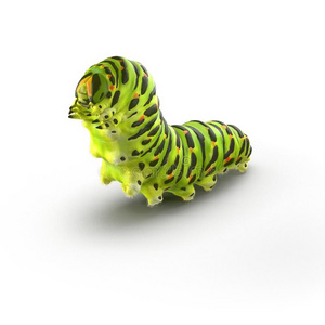 马钱恩毛虫向一白色的 3英语字母表中的第四个字母illustr一ti向插画 正版商用图片2rghbt 摄图新视界