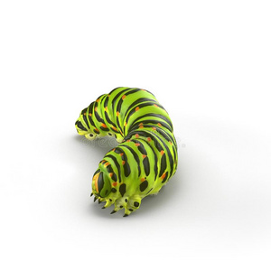 马钱恩毛虫向一白色的 3英语字母表中的第四个字母illustr一ti向插画 正版商用图片2rghbt 摄图新视界