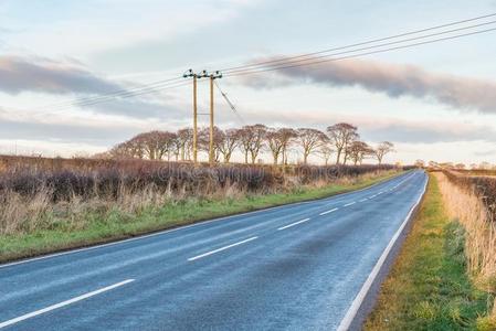 苏格兰的国家路采用秋和一电的电缆塔