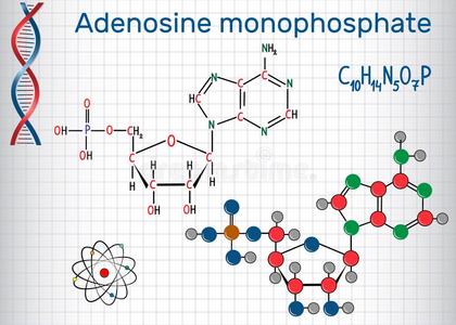 腺苷一磷酸安培分子,它是be的三单形式一酯关于磷化氢