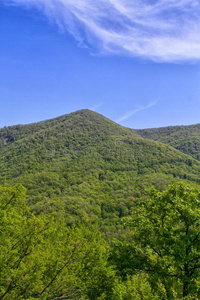 春季风景