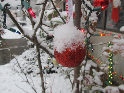 圣诞节装饰和雪向顶