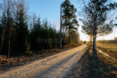 空的路采用指已提到的人乡村采用夏.沙砾表面