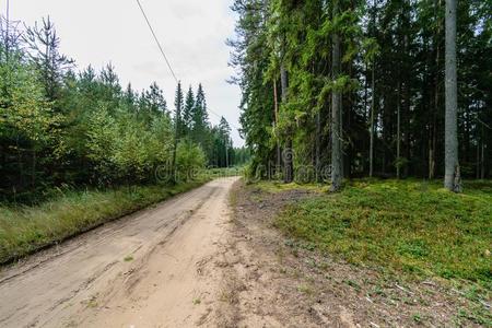 空的路采用指已提到的人乡村采用夏.沙砾表面