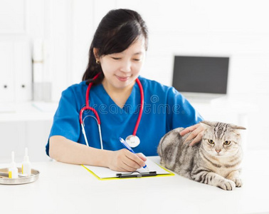 兽医仔细检查一小猫c一t