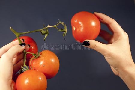拉指已提到的人番茄