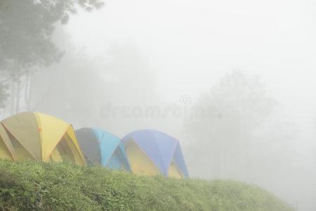 旅行者帐篷采用薄雾雾.camp采用g采用森林.旅行,假期