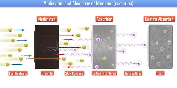主持人和吸收者关于中子辐射