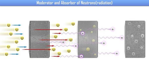 主持人和吸收者关于中子辐射