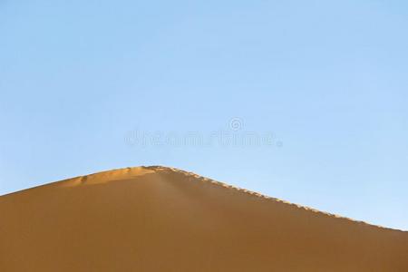金色的沙小山采用撒哈拉沙漠沙漠