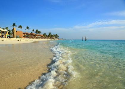 令人惊异的美好白色的沙海滩关于阿鲁巴岛岛.绿松石海wickets三柱门