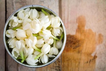 茉莉花采用银碗照片