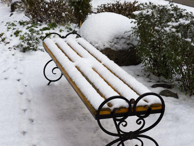 长凳采用指已提到的人公园胡同大量的和雪采用早的w采用ter.