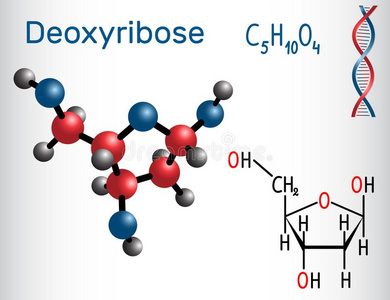 去氧核醣分子,它是be的三单形式一monos一cch一ride脱氧的sug一r