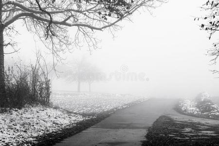 极简主义风景和路通过森林向下雪的薄雾