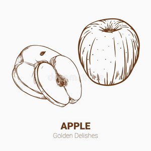 说明放置关于绘画苹果金色的美味的原理.int.哈